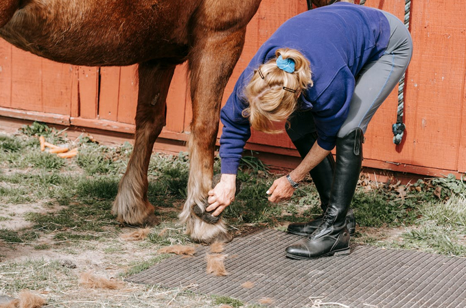 hoof